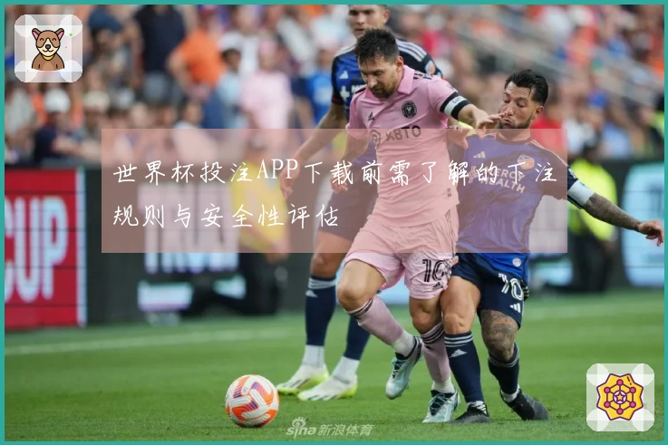世界杯投注APP下载前需了解的下注规则与安全性评估